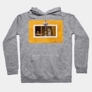 Hoi An window Hoodie